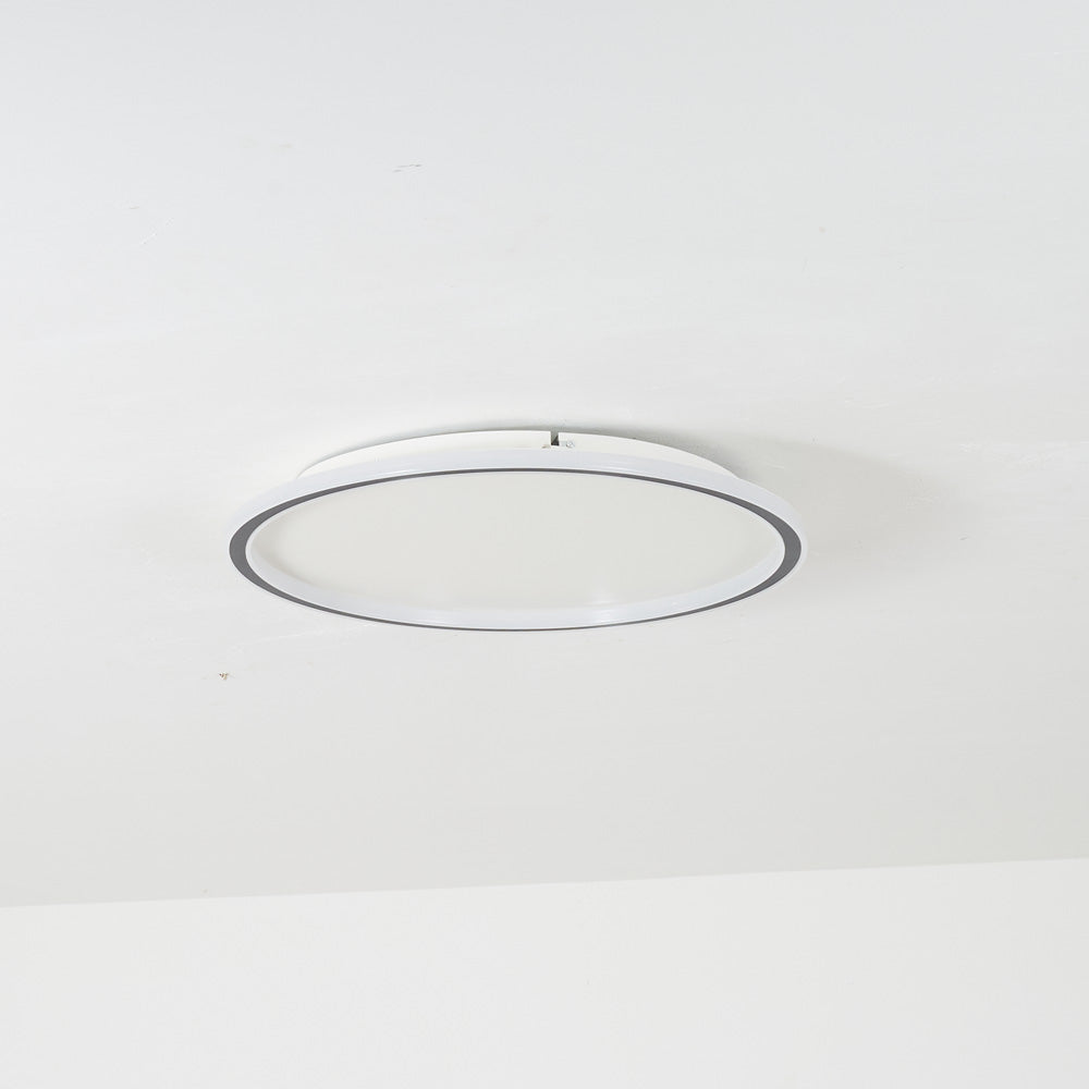 Ceiling Light | Modern Oval LED Design