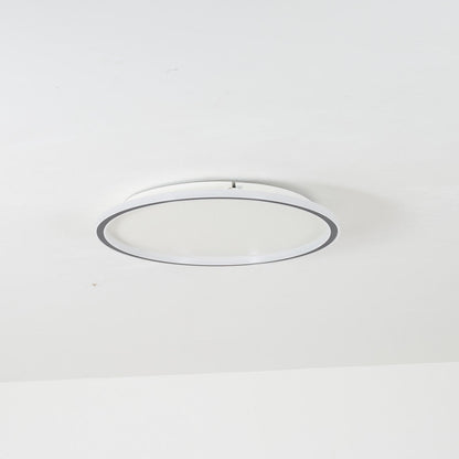 Ceiling Light | Modern Oval LED Design