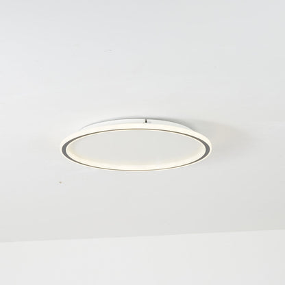 Ceiling Light | Modern Oval LED Design