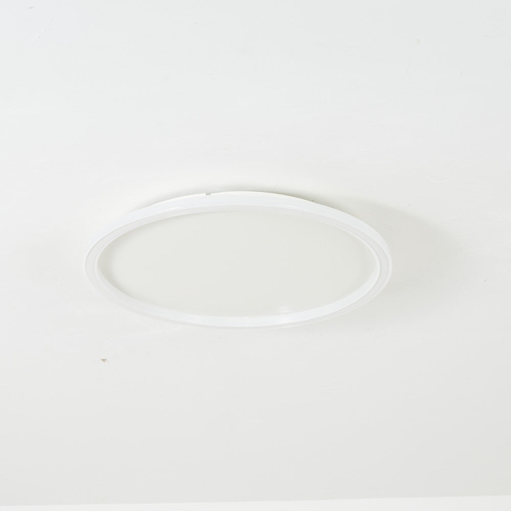 Ceiling Light | Modern Oval LED Design