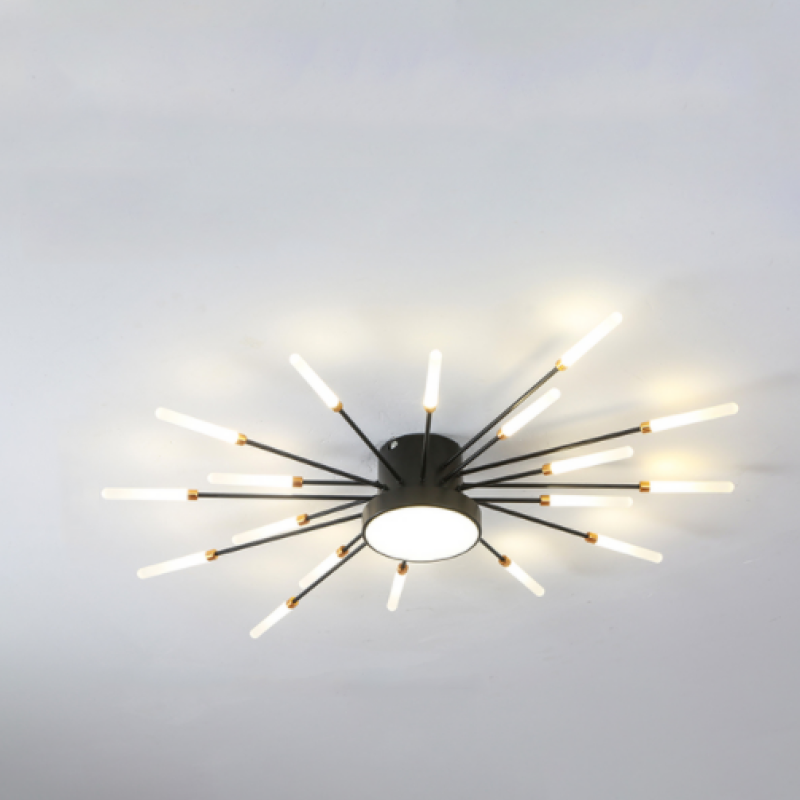Ceiling Light | Sunburst Firework Design