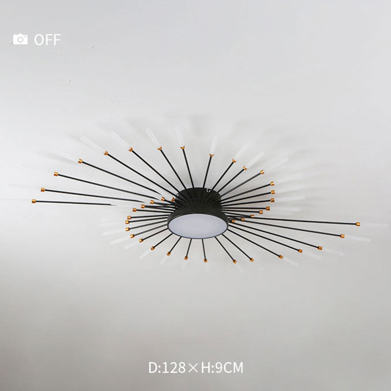 Ceiling Light | Sunburst Firework Design