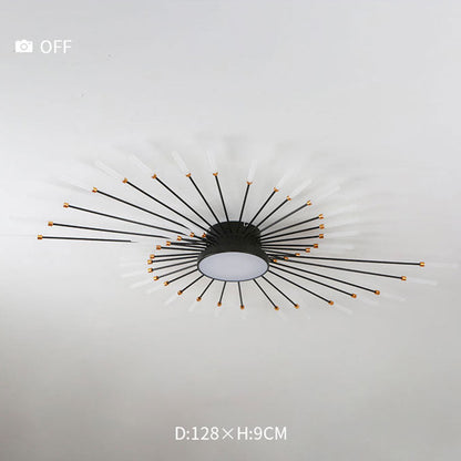 Ceiling Light | Sunburst Firework Design