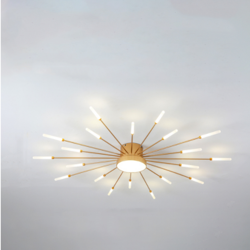 Ceiling Light | Sunburst Firework Design