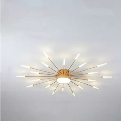 Ceiling Light | Sunburst Firework Design