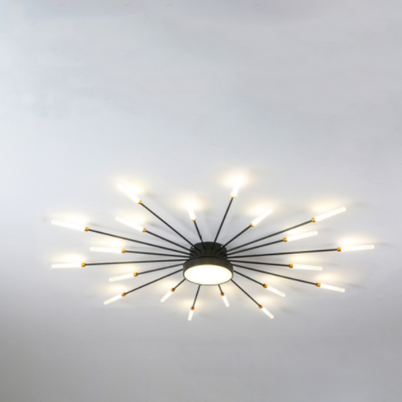 Ceiling Light | Sunburst Firework Design