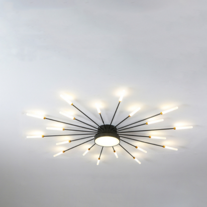 Ceiling Light | Sunburst Firework Design