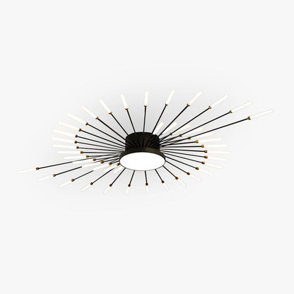 Ceiling Light | Sunburst Firework Design