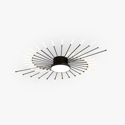 Ceiling Light | Sunburst Firework Design