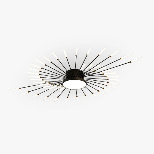 Ceiling Light | Sunburst Firework Design