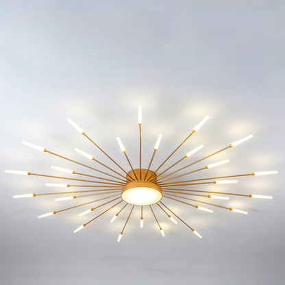 Ceiling Light | Sunburst Firework Design