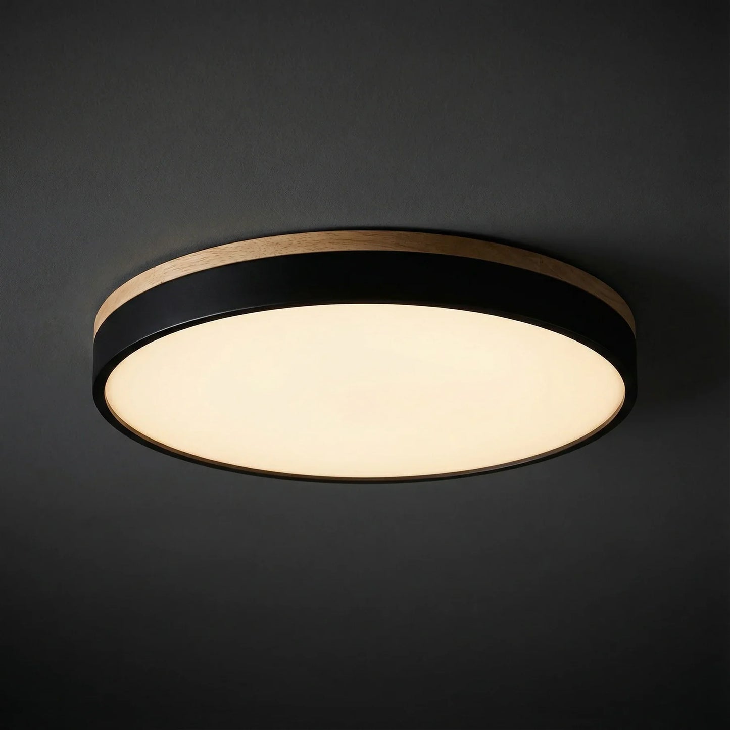 Ceiling Light | Minimalist Disc LED Light