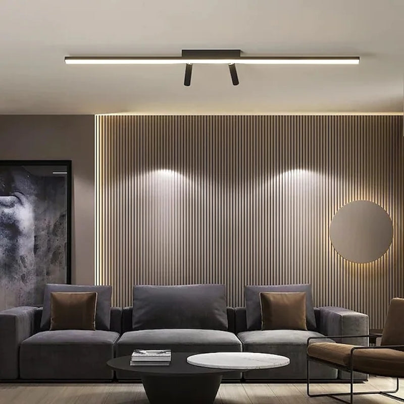Ceiling Light | Linear LED Bar with Spotlight
