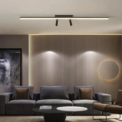Ceiling Light | Linear LED Bar with Spotlight