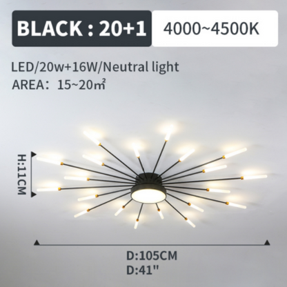 Ceiling Light | Sunburst Firework Design