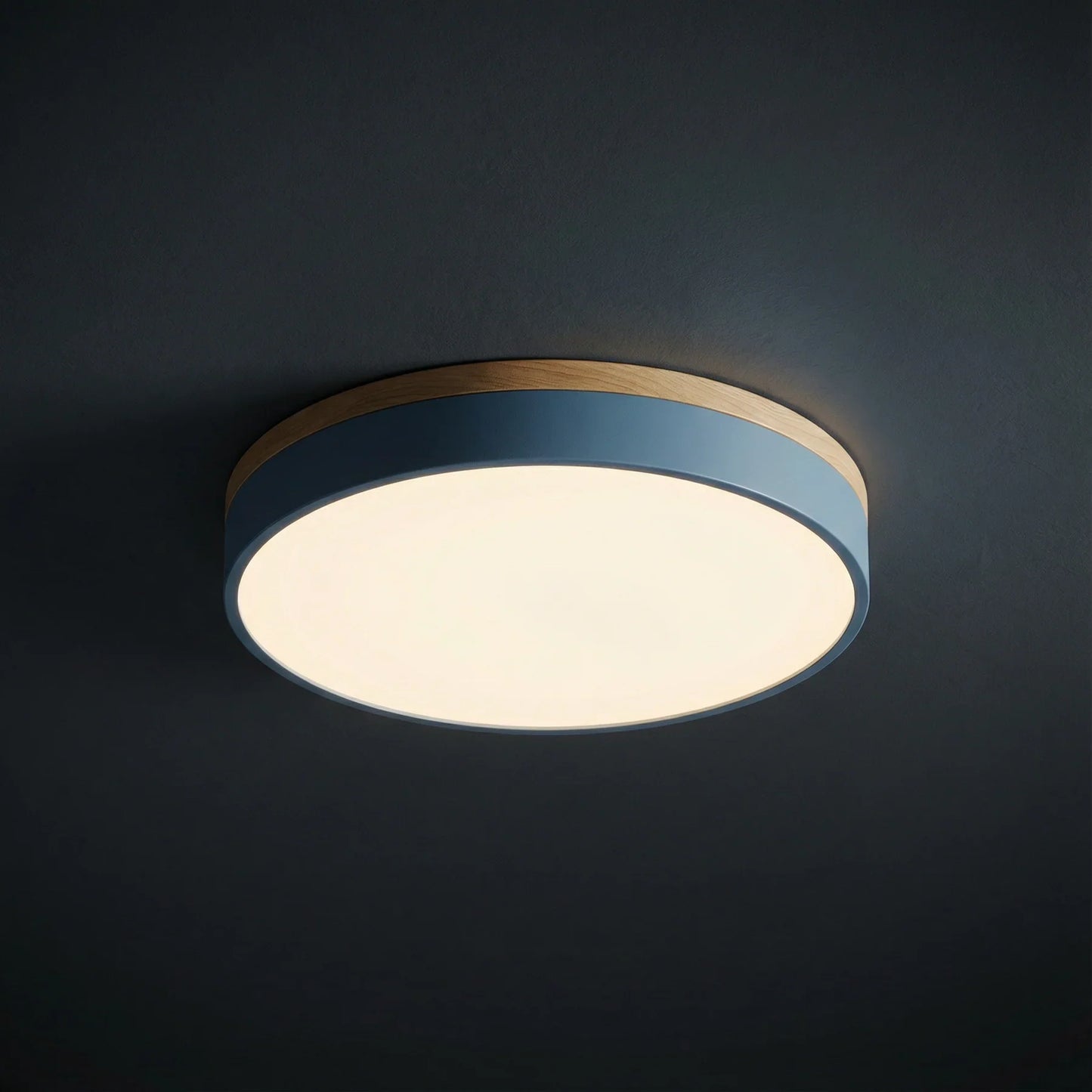 Ceiling Light | Minimalist Disc LED Light