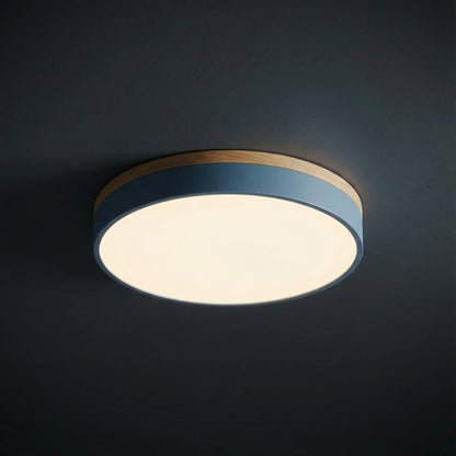 Ceiling Light | Minimalist Disc LED Light