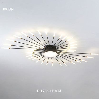 Ceiling Light | Sunburst Firework Design