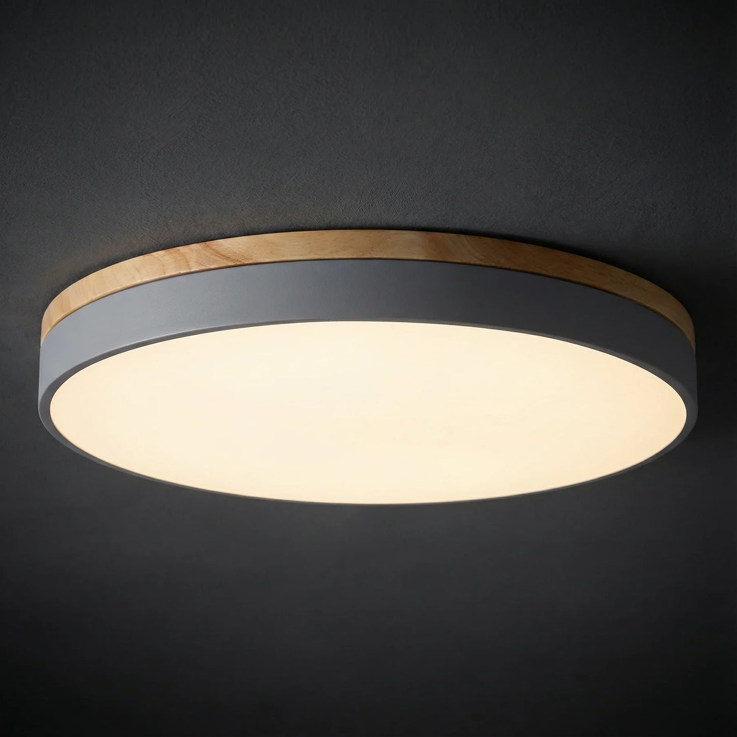 Ceiling Light | Minimalist Disc LED Light