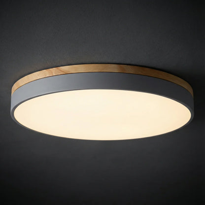 Ceiling Light | Minimalist Disc LED Light