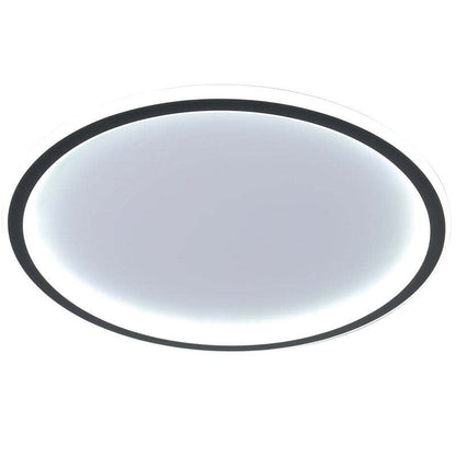 Ceiling Light | Modern Oval LED Design