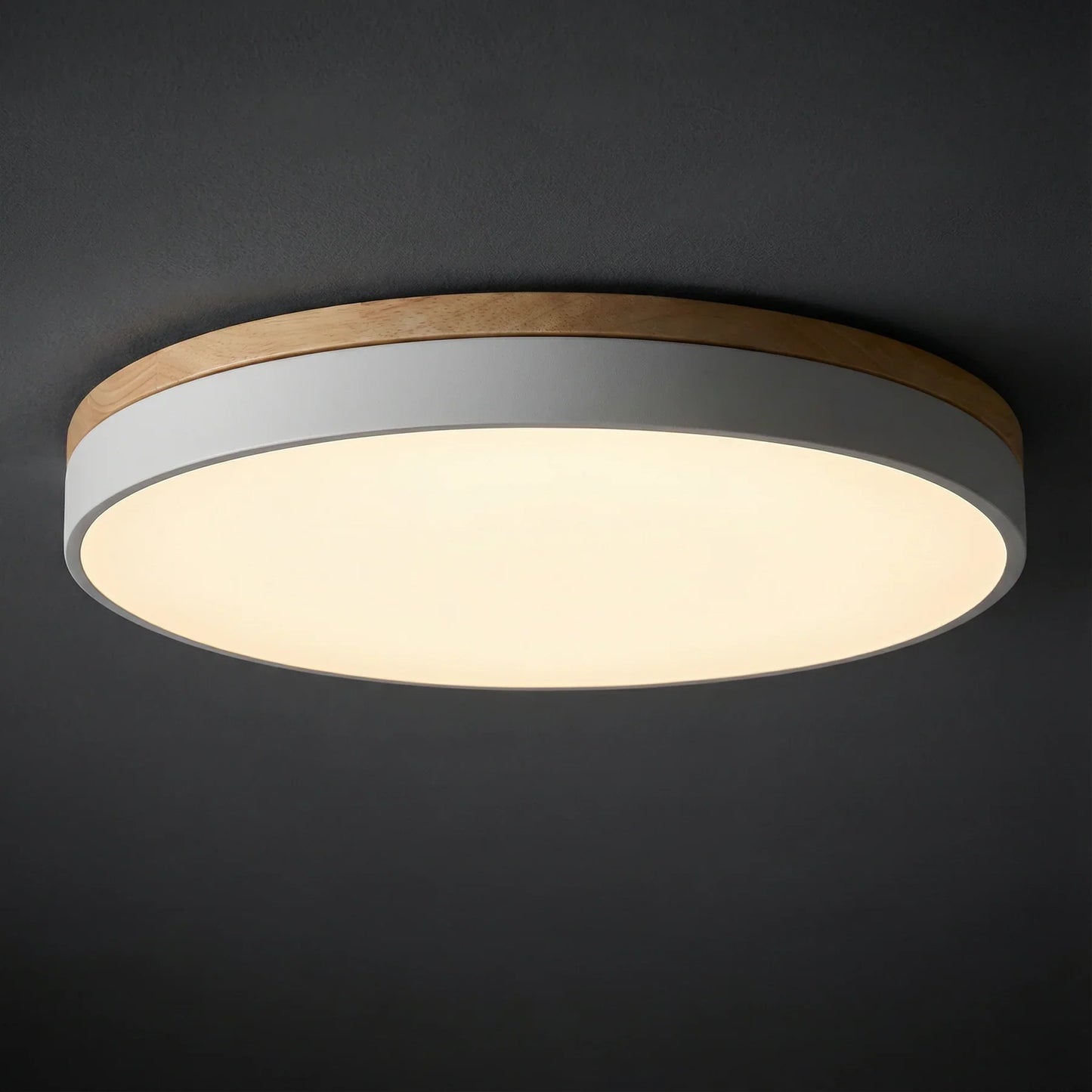 Ceiling Light | Minimalist Disc LED Light