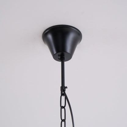 Pendant Light | Glass Globe Cage Design