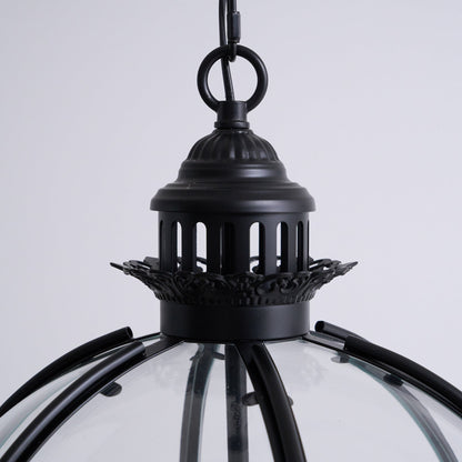 Pendant Light | Glass Globe Cage Design