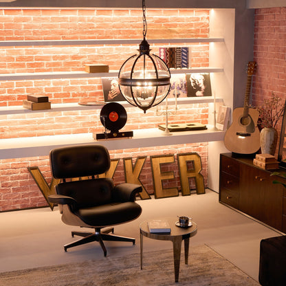 Pendant Light | Glass Globe Cage Design