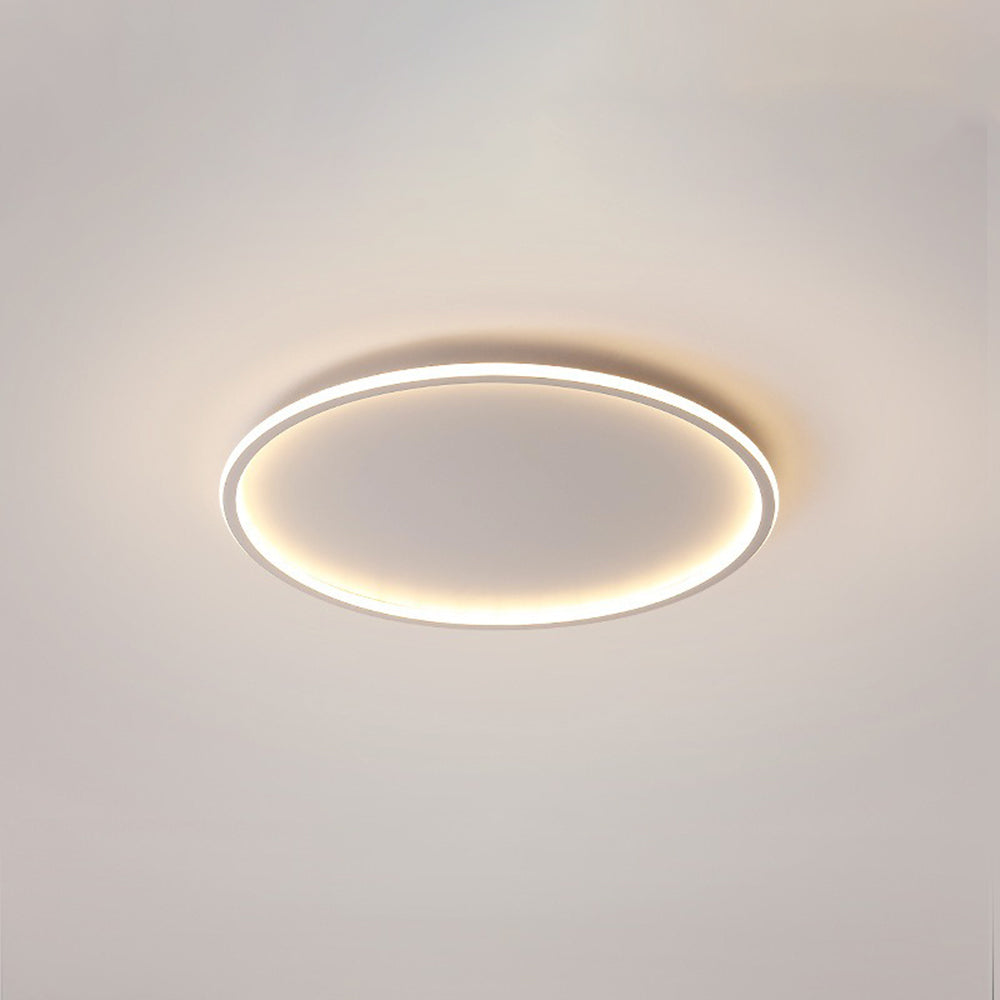 Ceiling Light | Modern Oval LED Design