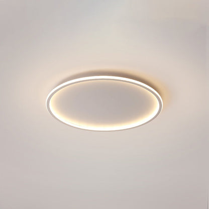 Ceiling Light | Modern Oval LED Design