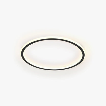 Ceiling Light | Modern Oval LED Design