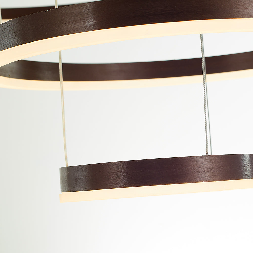 Pendant Light | LED Ring Multi Circle Design