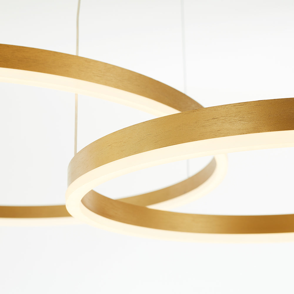 Pendant Light | LED Ring Multi Circle Design