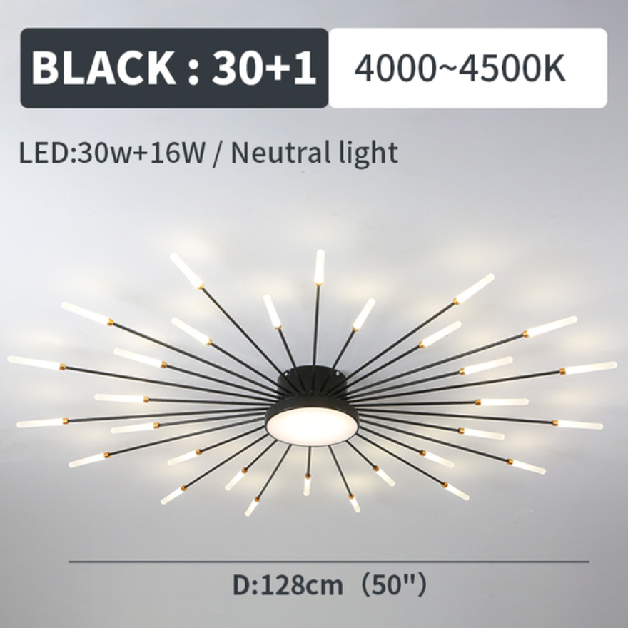 Ceiling Light | Sunburst Firework Design