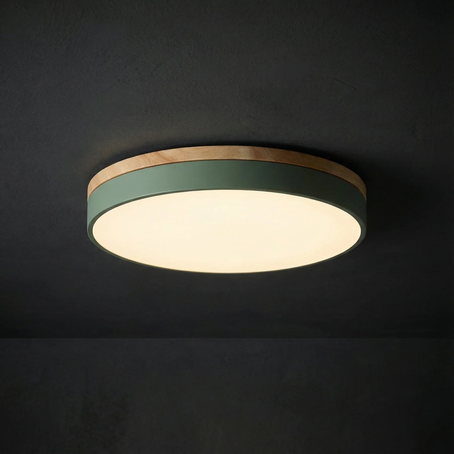 Ceiling Light | Minimalist Disc LED Light