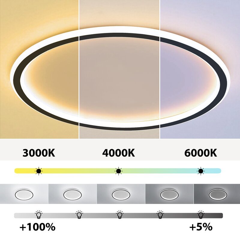 Ceiling Light | Modern Oval LED Design