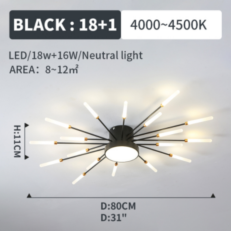 Ceiling Light | Sunburst Firework Design