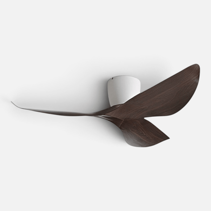 Elvora Ceiling Fan | Sculptural Wing Blade Design