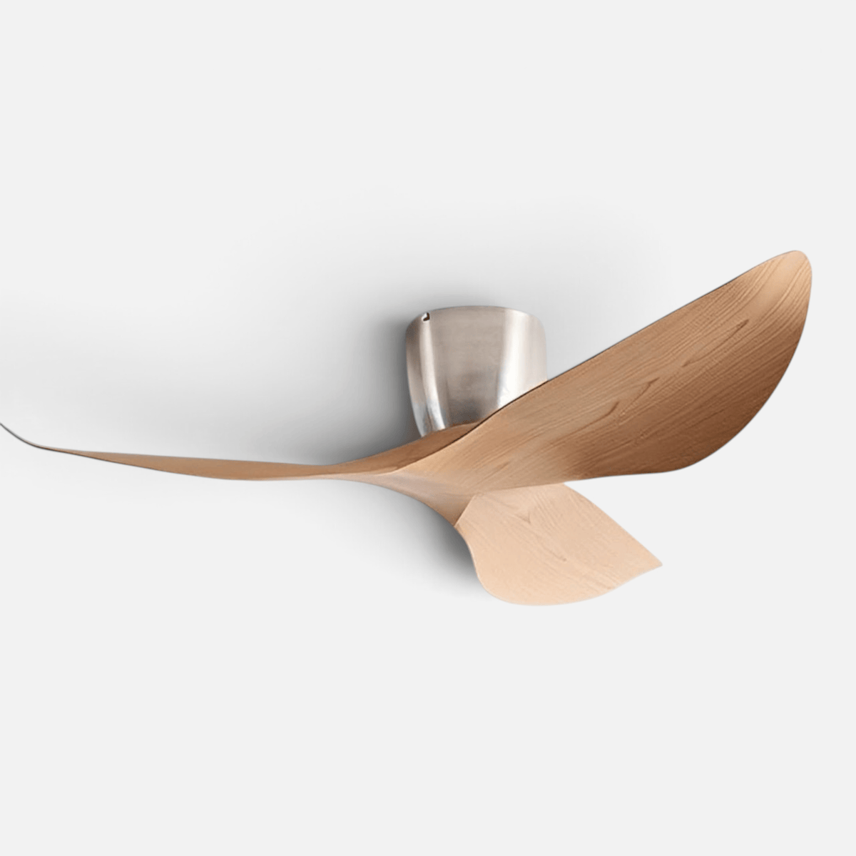 Elvora Ceiling Fan | Sculptural Wing Blade Design