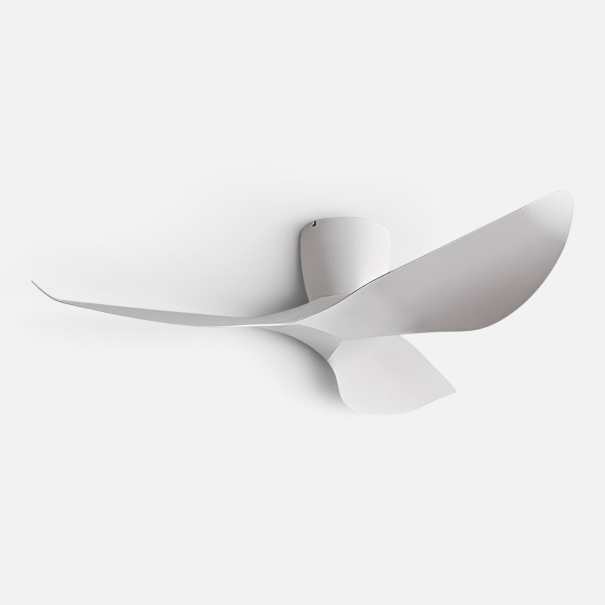 Elvora Ceiling Fan | Sculptural Wing Blade Design