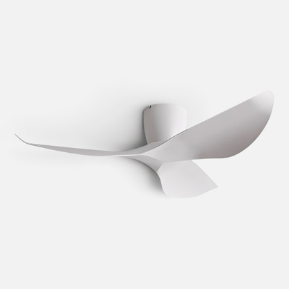 Elvora Ceiling Fan | Sculptural Wing Blade Design