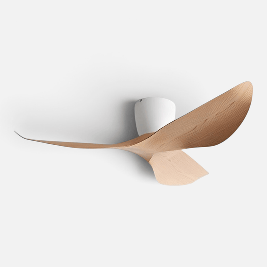 Elvora Ceiling Fan | Sculptural Wing Blade Design