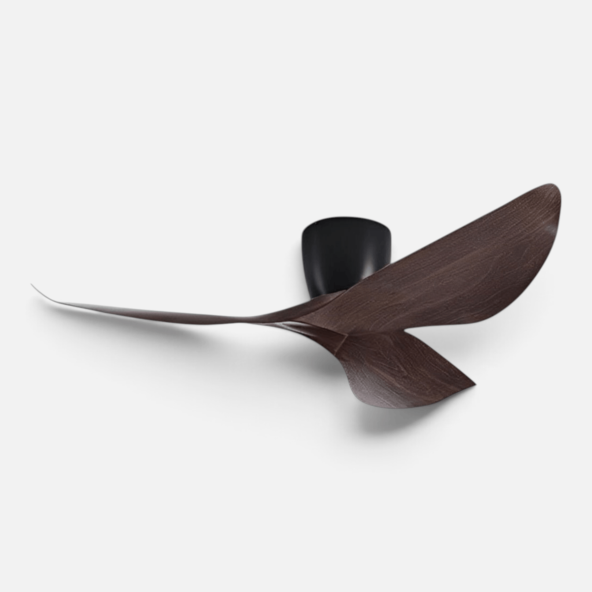 Elvora Ceiling Fan | Sculptural Wing Blade Design