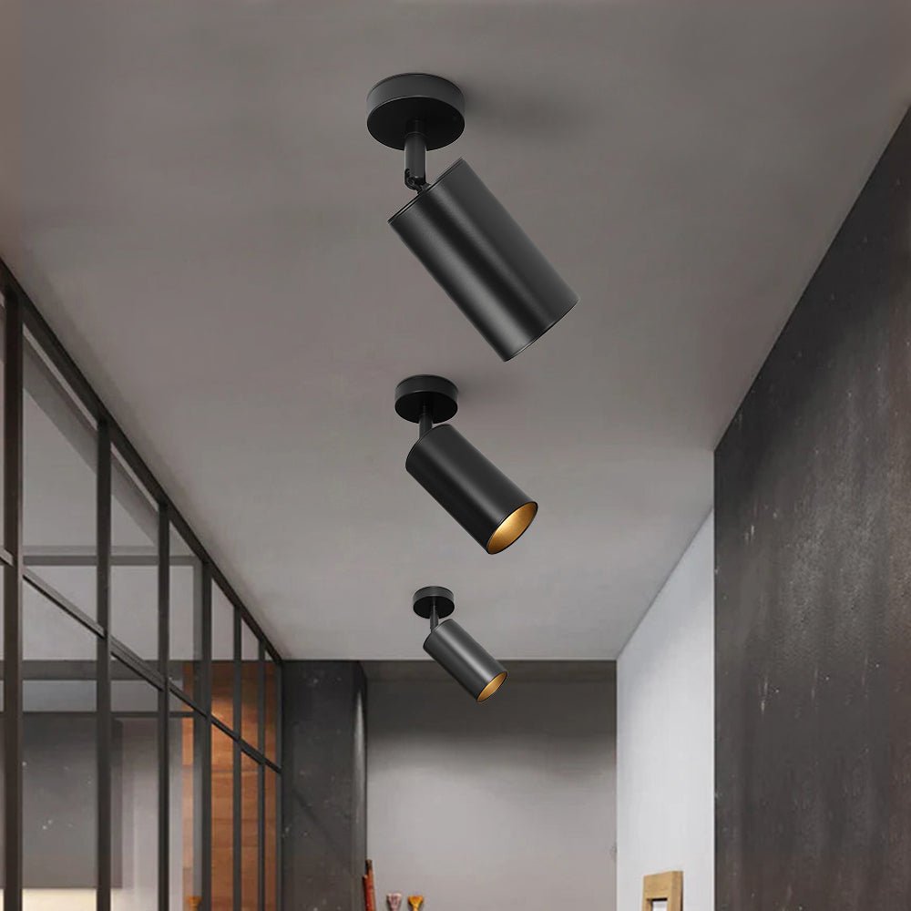 Ceiling Light | Swivel Cylinder Spotlight Design
