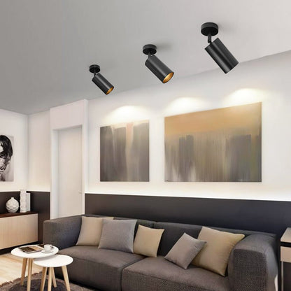 Ceiling Light | Swivel Cylinder Spotlight Design