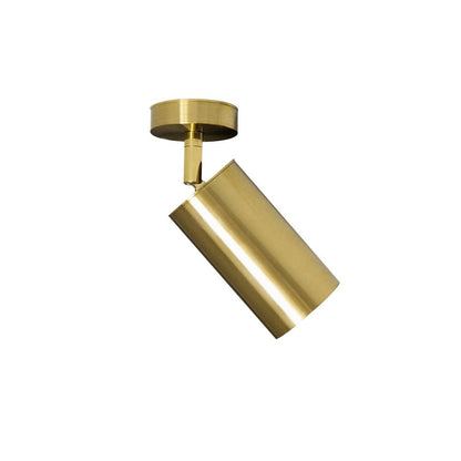 Ceiling Light | Swivel Cylinder Spotlight Design