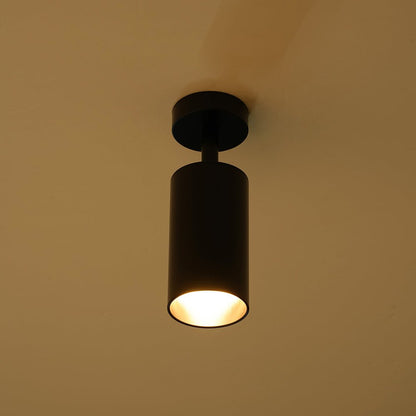 Ceiling Light | Swivel Cylinder Spotlight Design