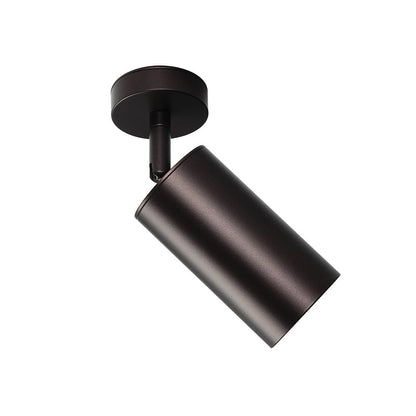 Ceiling Light | Swivel Cylinder Spotlight Design