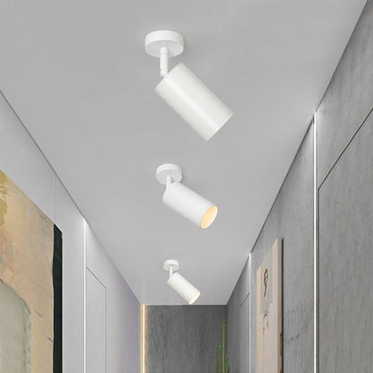Ceiling Light | Swivel Cylinder Spotlight Design